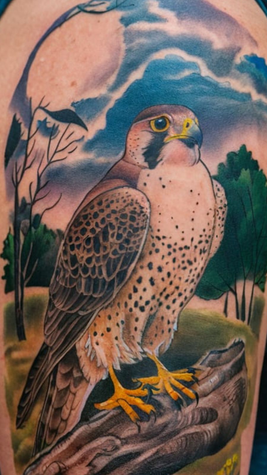 falcon tattoo