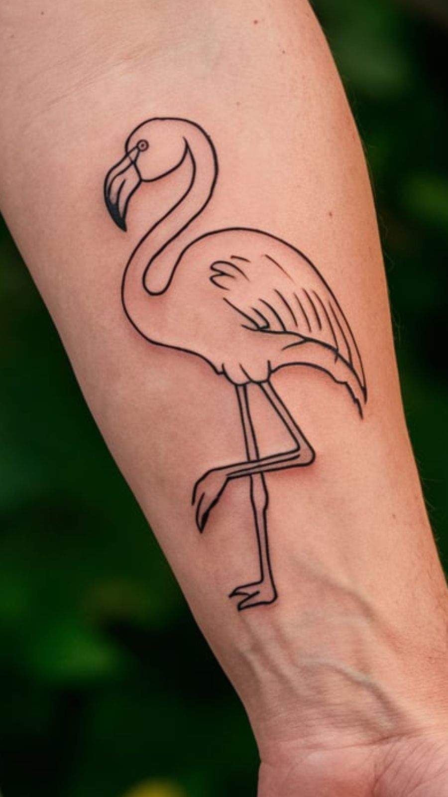 Flamingo Tattoo