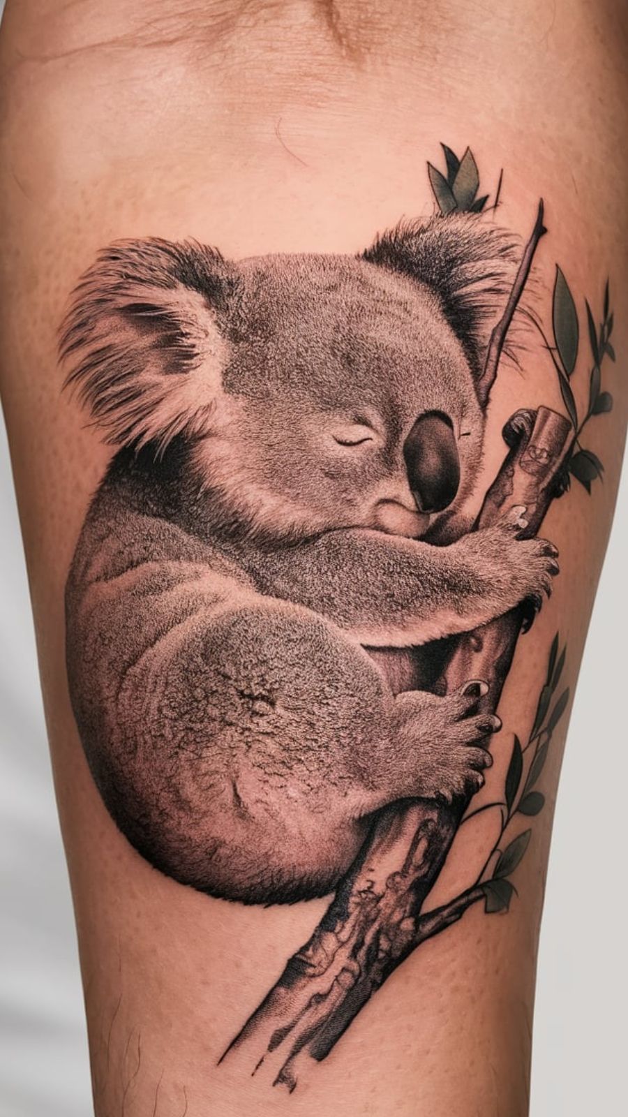 Koala Tattoo
