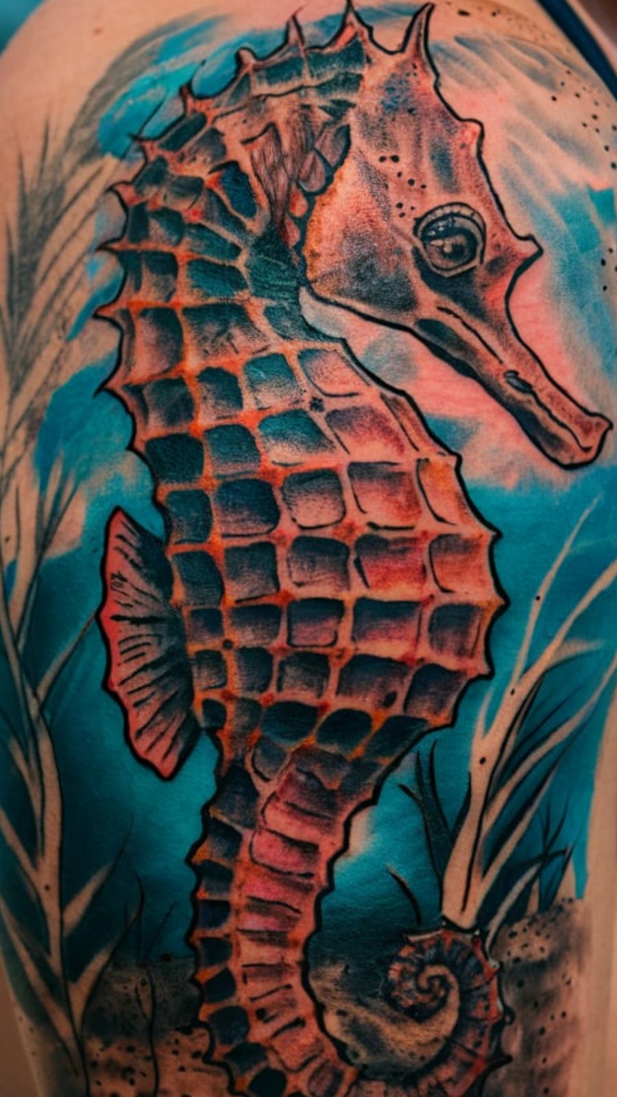Seahorse Tattoo