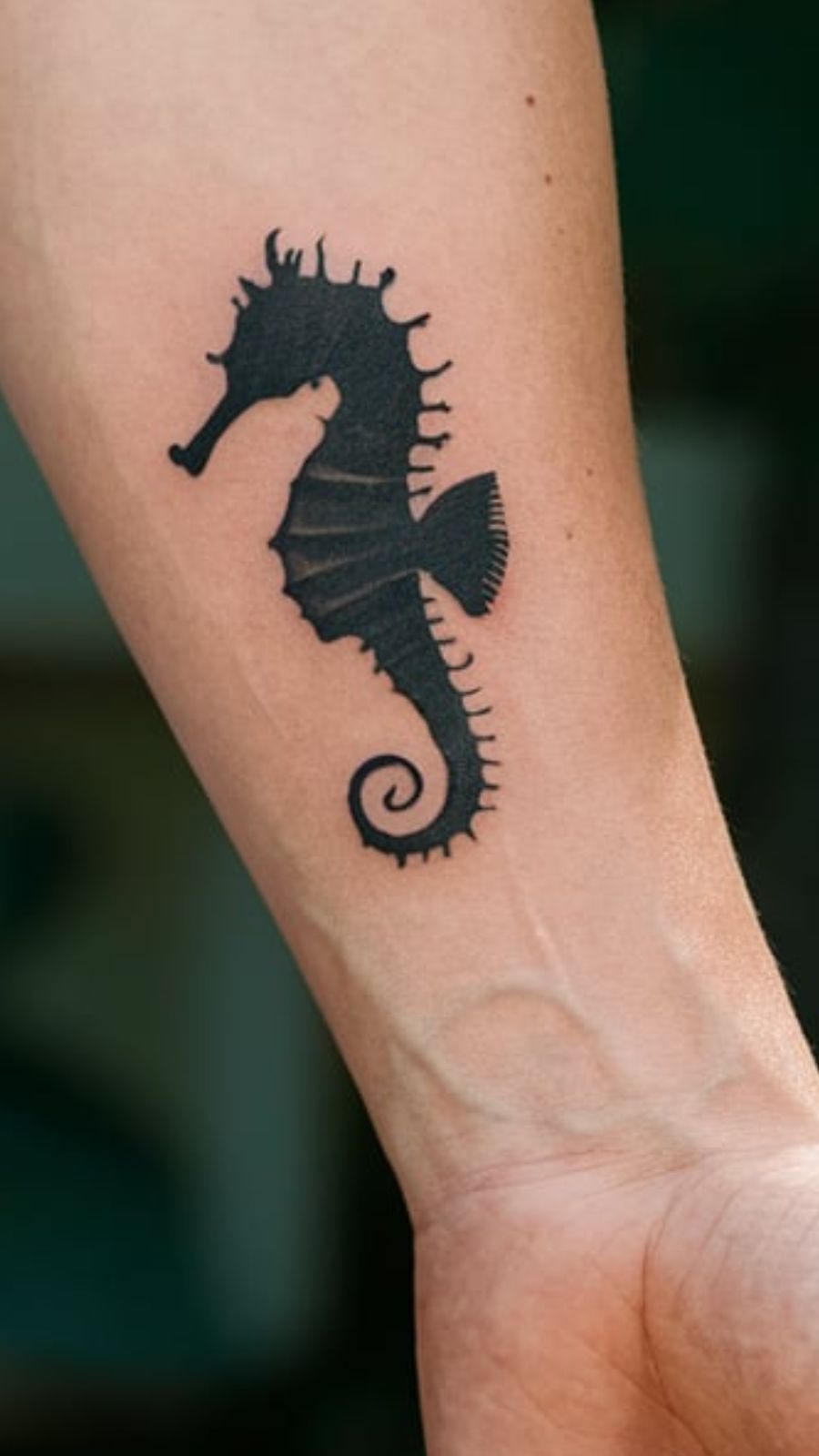 seahorse tattoo