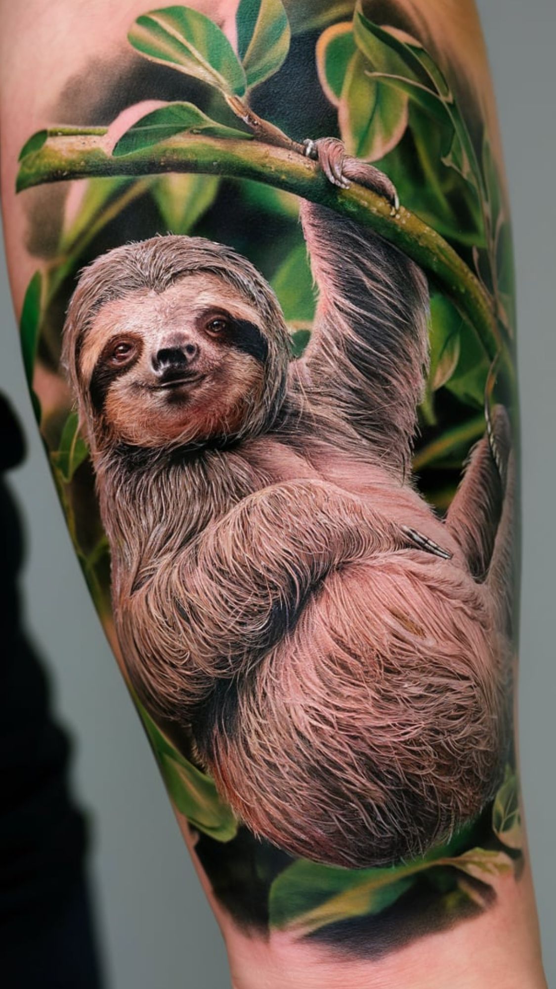 sloth tatttoo