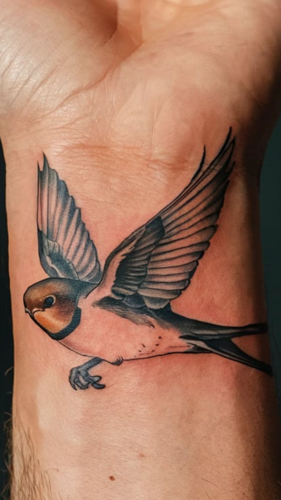 Swallow Tattoo