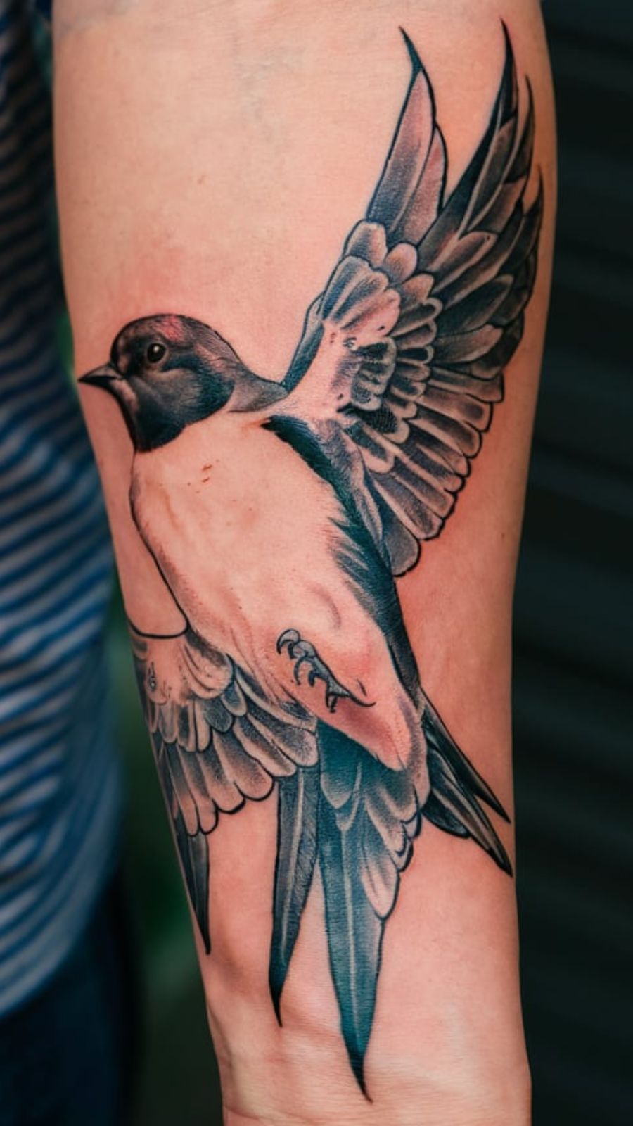 Swallow Tattoo