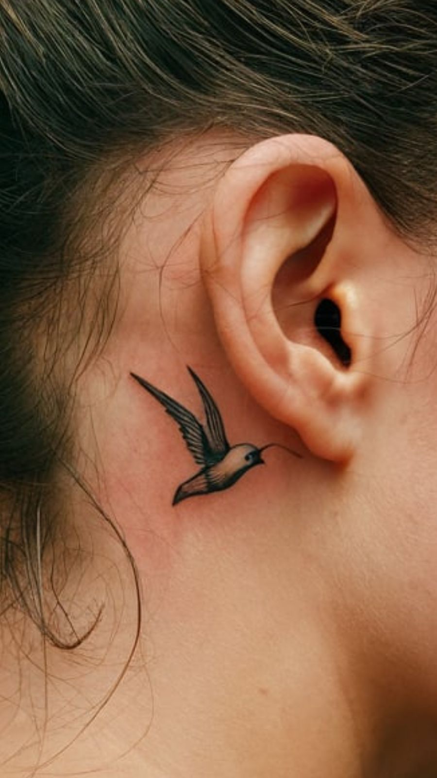 Swallow Tattoo