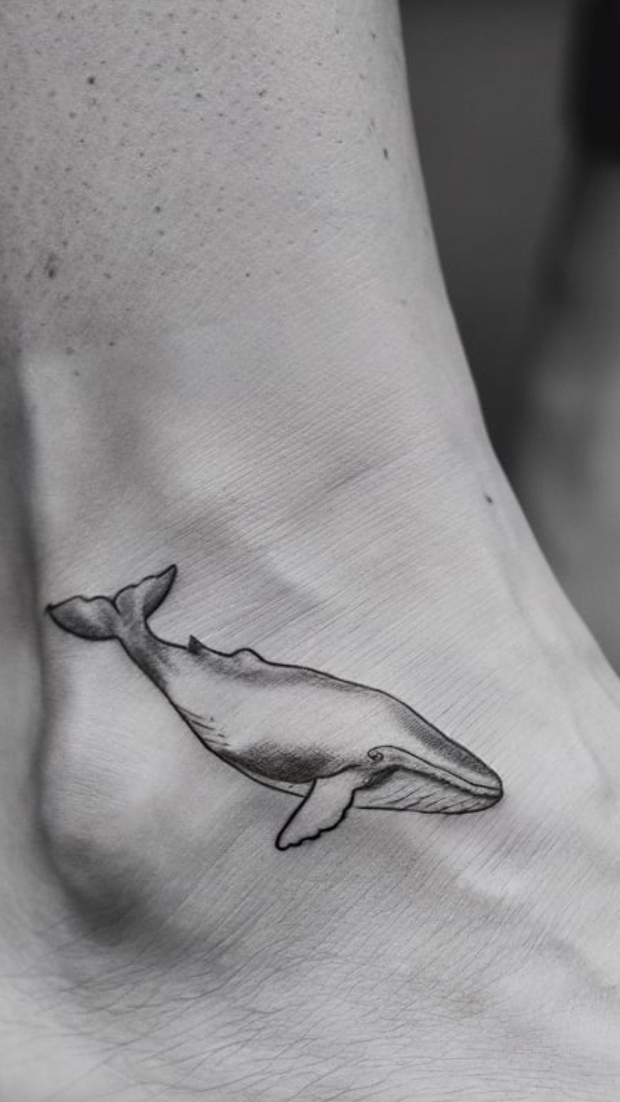 whale tattoo