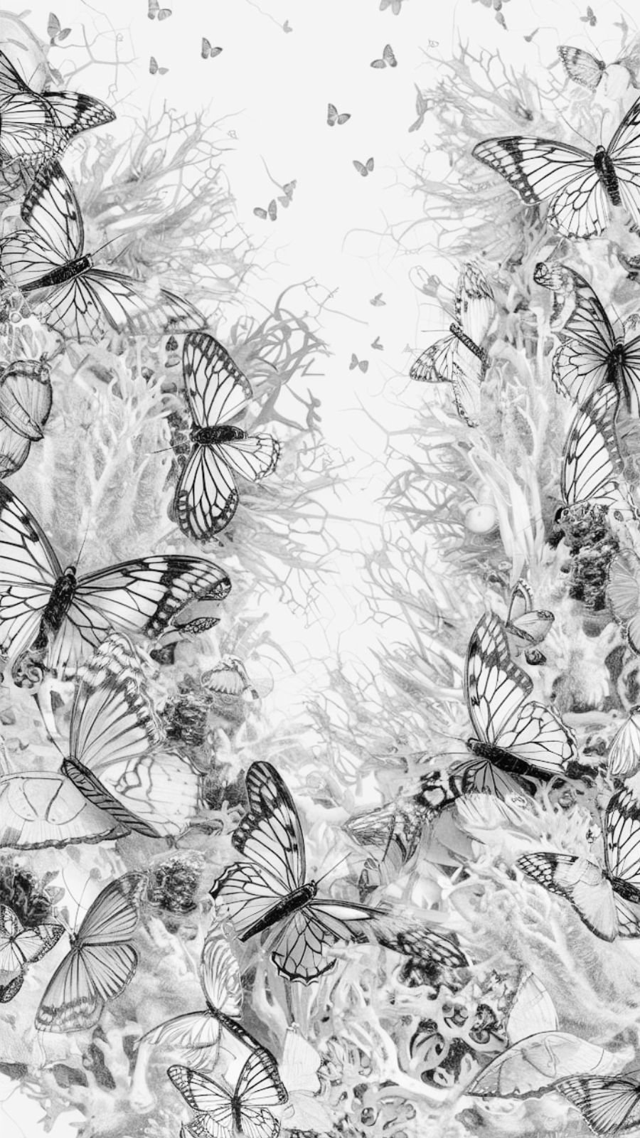butterfly and coral