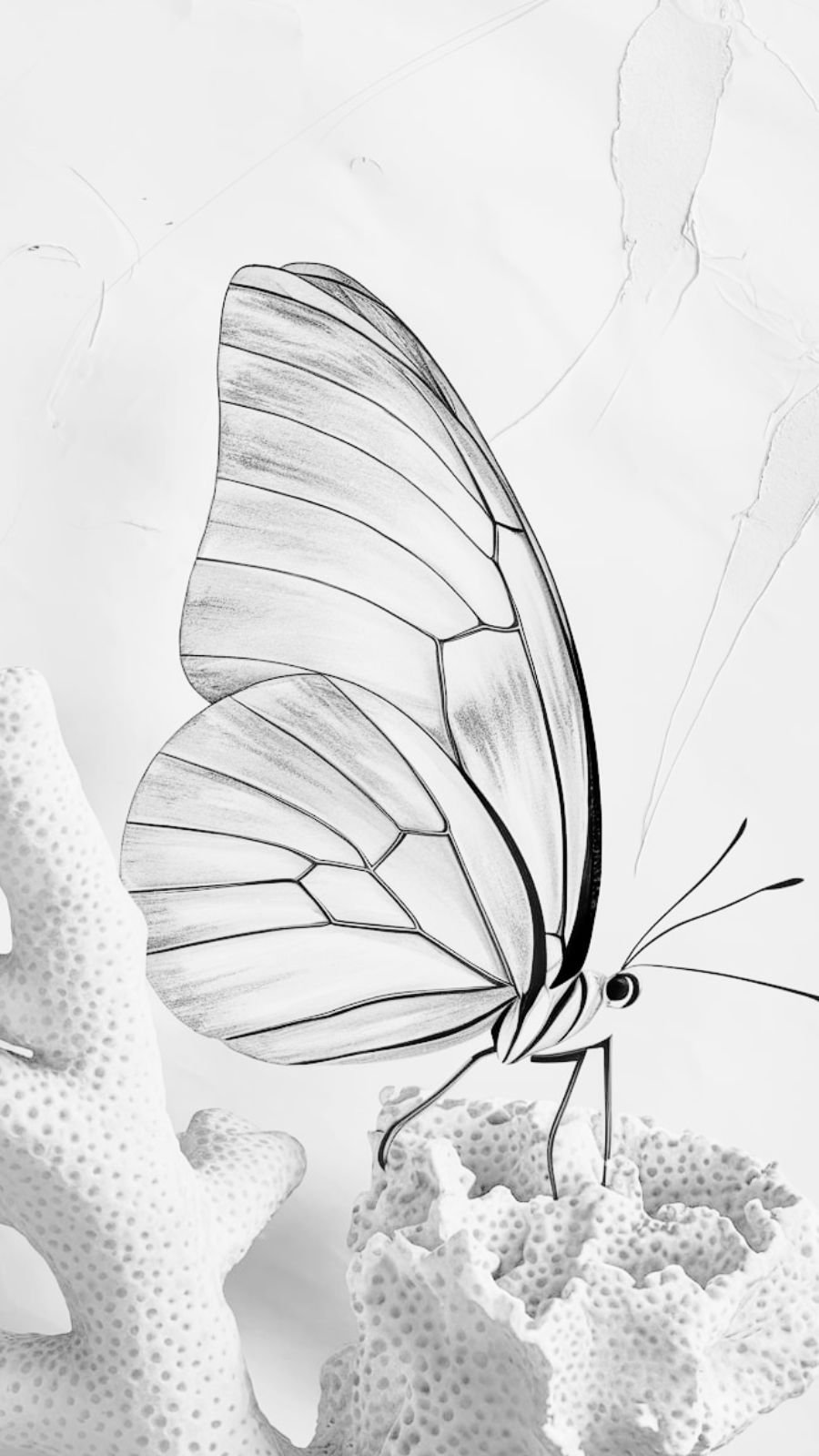 butterfly and coral