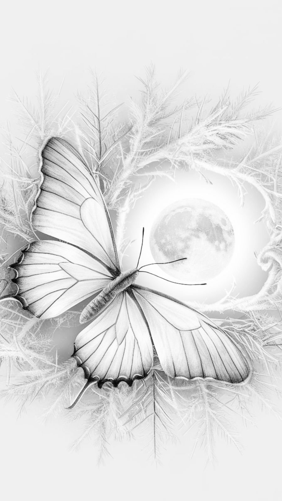 butterfly and frost