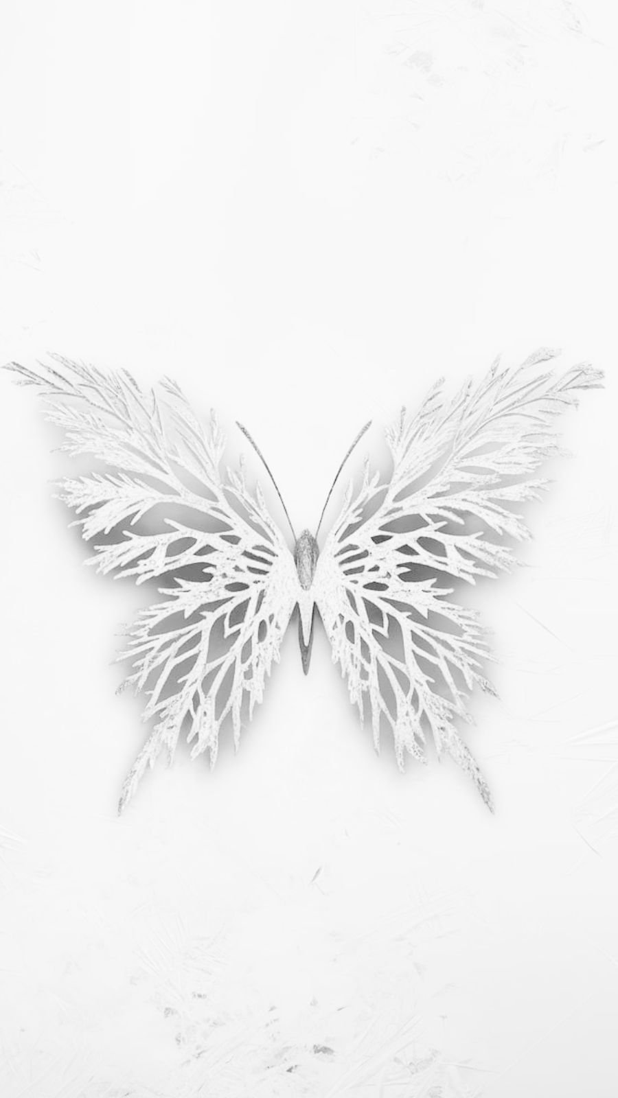 butterfly and frost