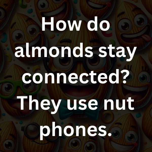How do almonds stay connected_ They use nut phones