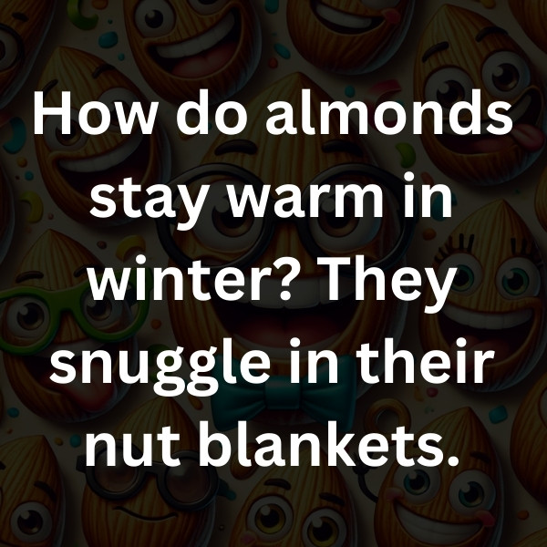 How do almonds stay warm in winter_ They snuggle in their nut blankets