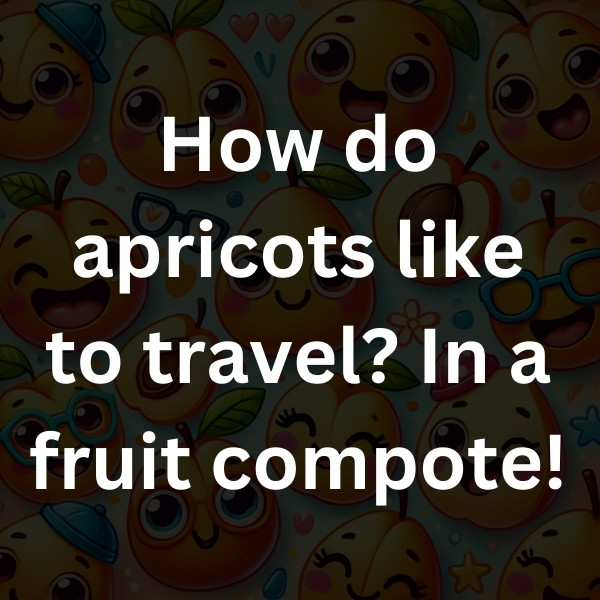 How do apricots like to travel_ In a fruit compote!