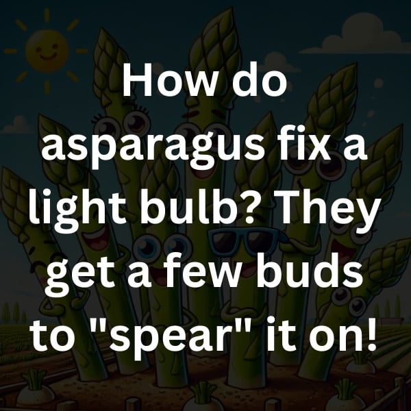 How do asparagus fix a light bulb_ They get a few buds to _spear_ it on!