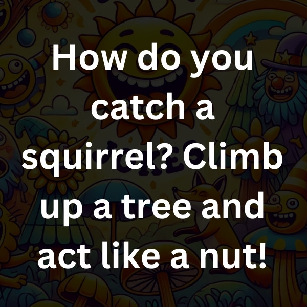 How do you catch a squirrel_ Climb up a tree and act like a nut! (2)