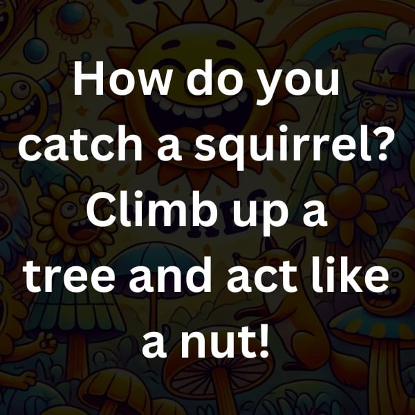 How do you catch a squirrel_ Climb up a tree and act like a nut!