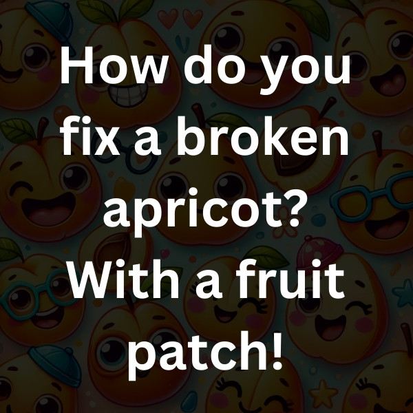How do you fix a broken apricot_ With a fruit patch!