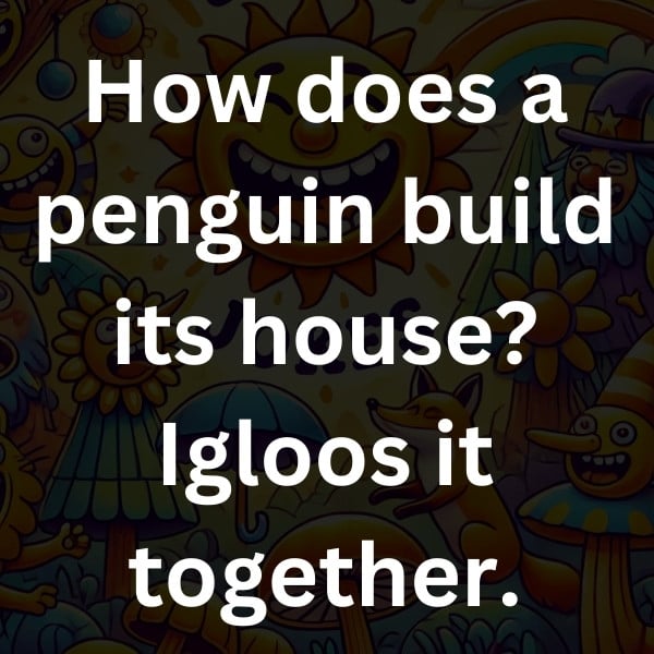 How does a penguin build its house_ Igloos it together