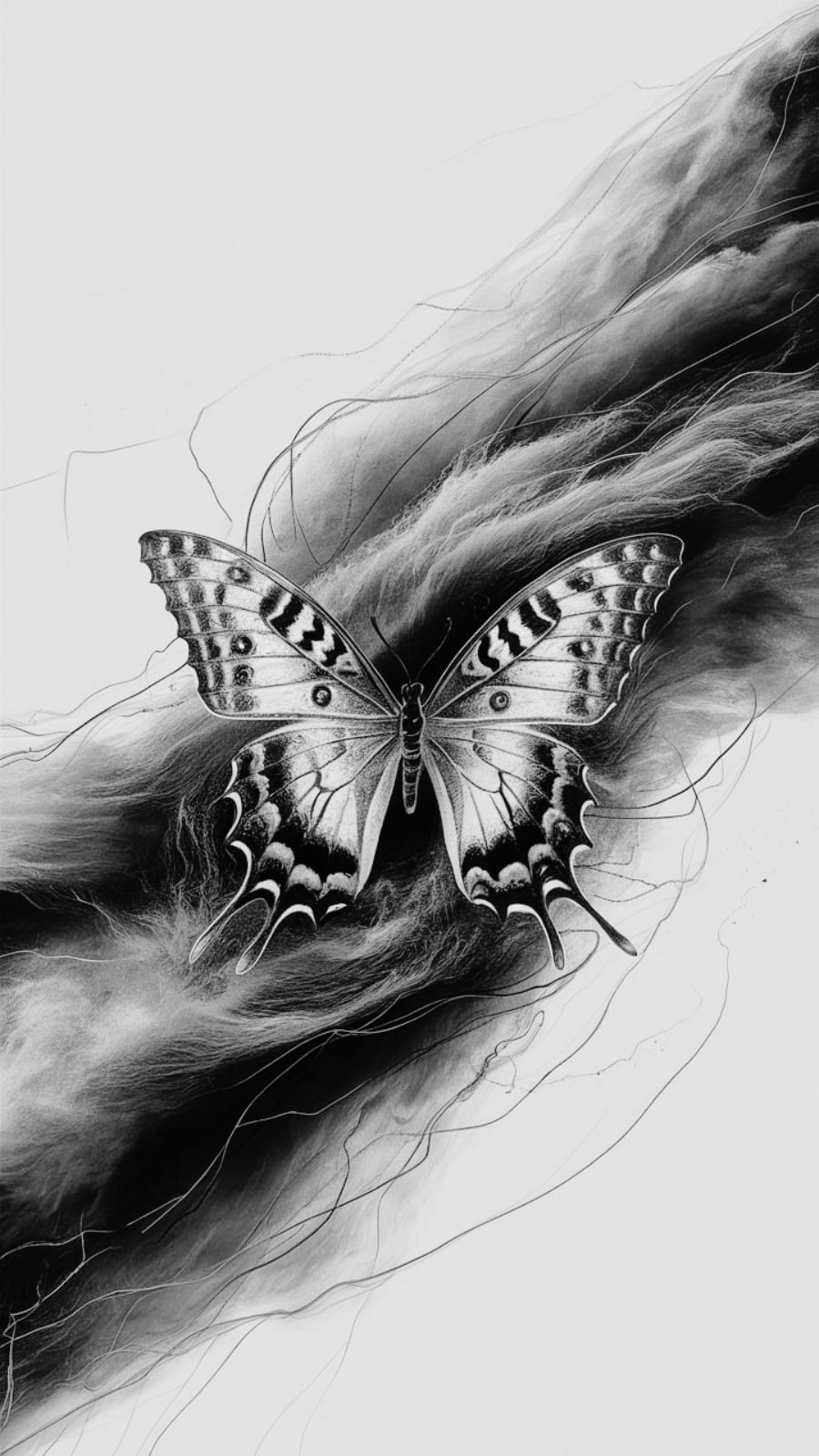 butterfly and hurricane