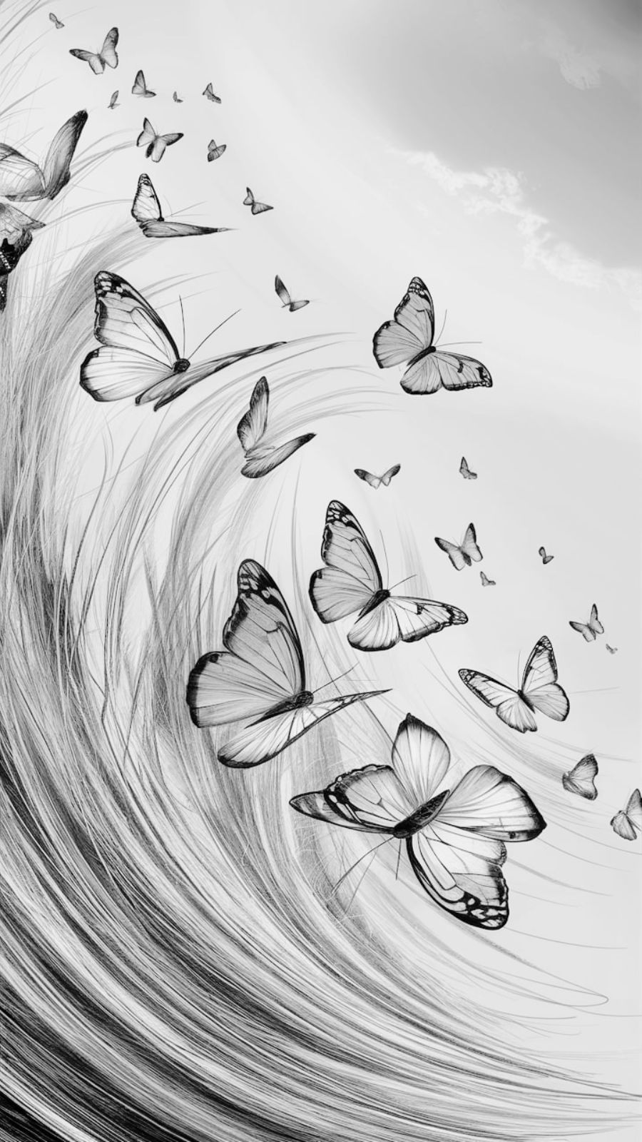 butterfly and hurricane