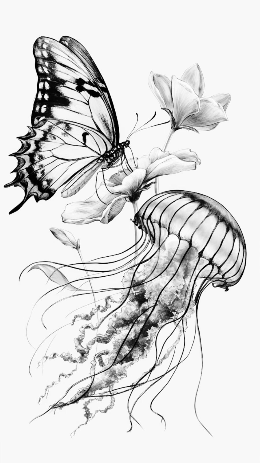 butterfly and jellyfish