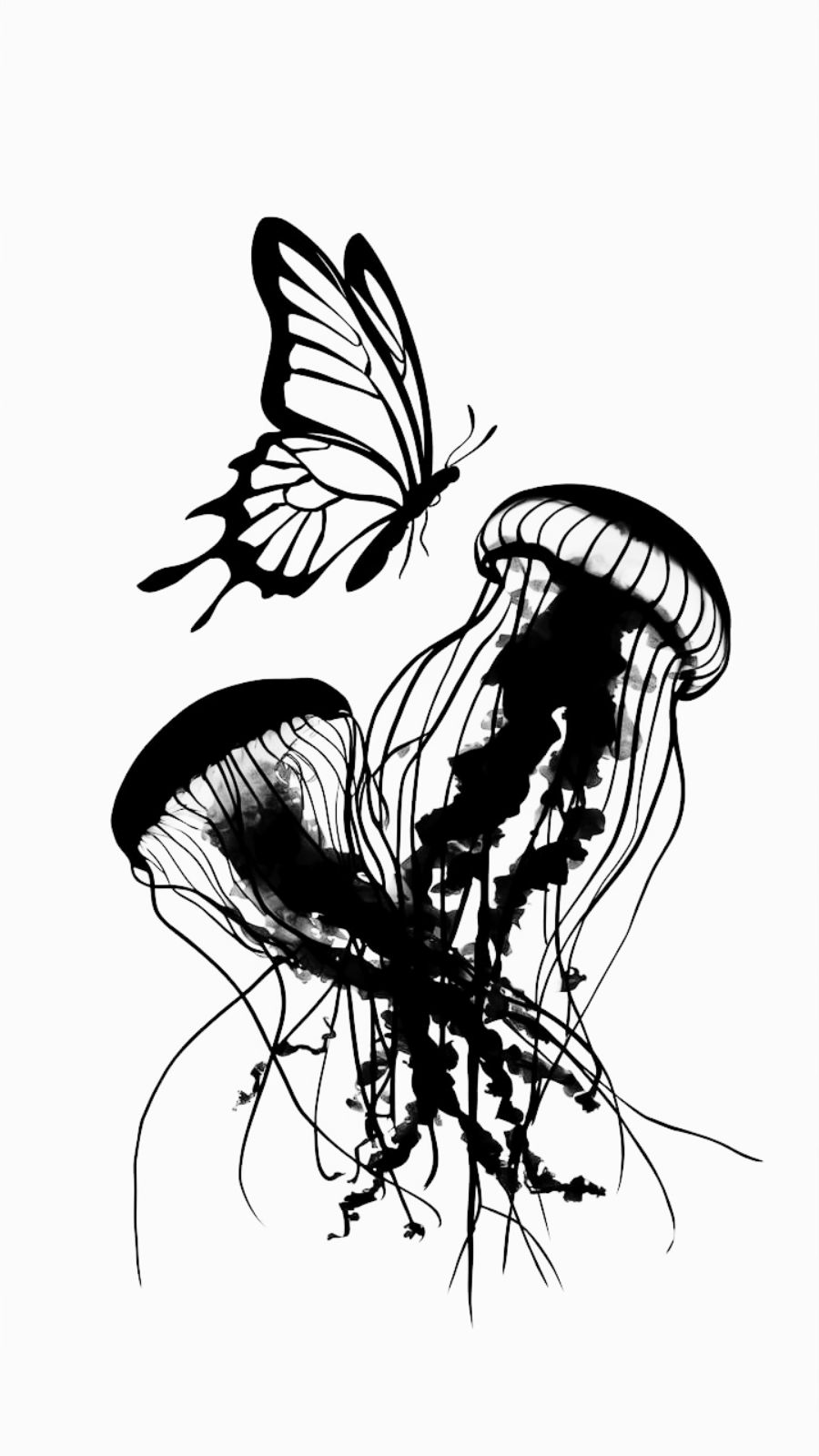 butterfly and jellyfish