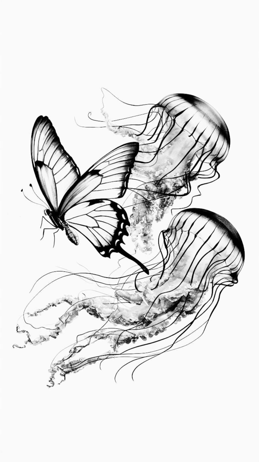 butterfly and jellyfish