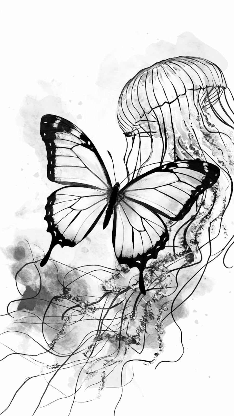 butterfly and jellyfish