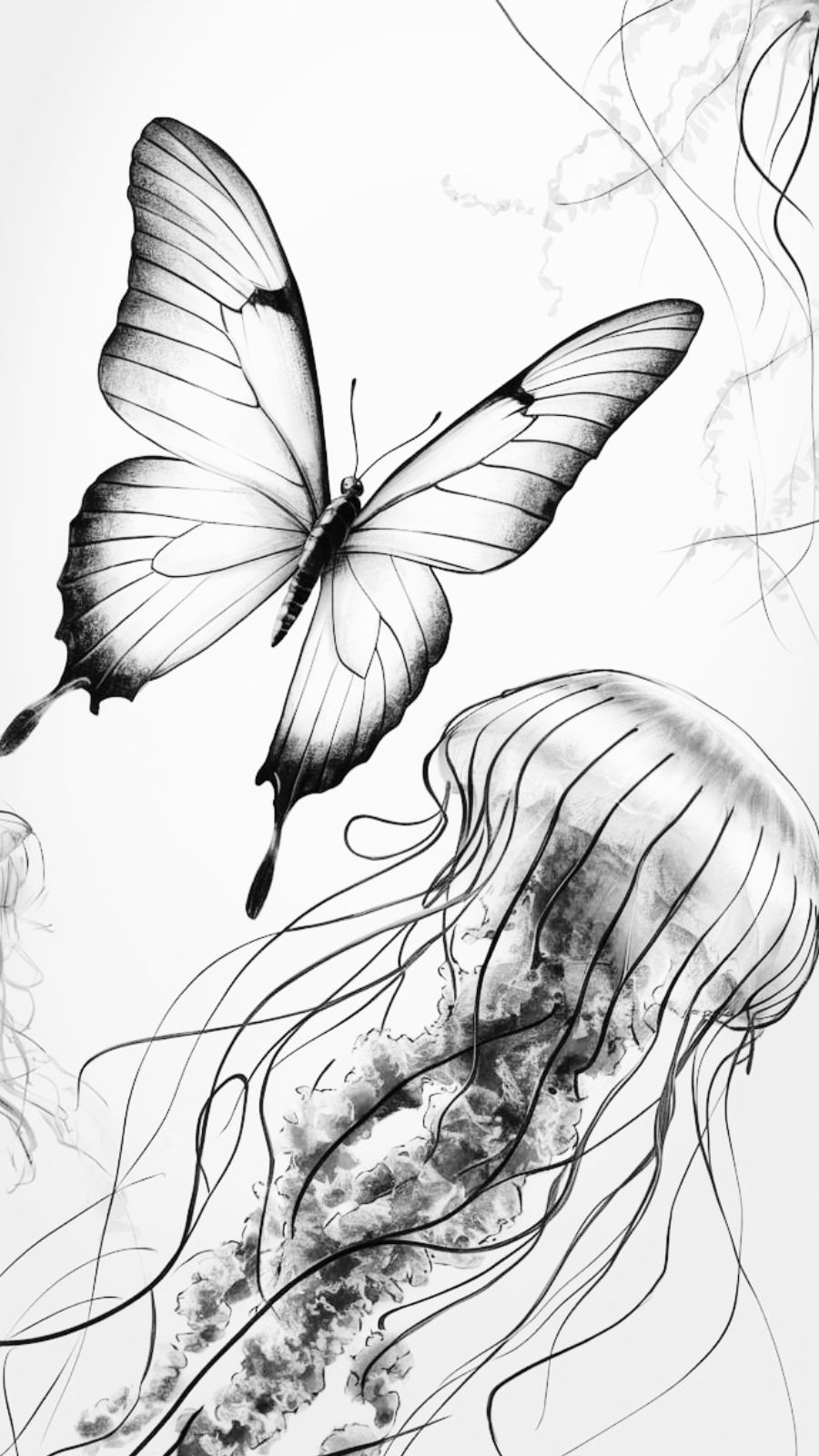 butterfly and jellyfish