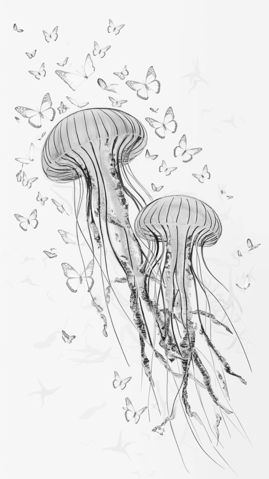 butterfly and jellyfish