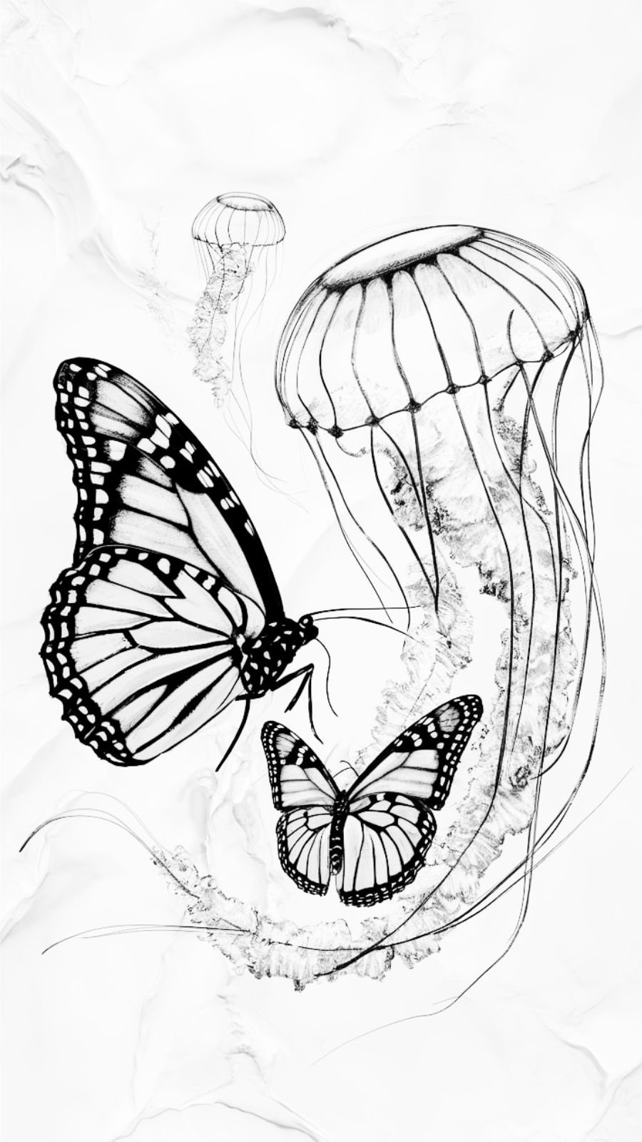 butterfly and jellyfish