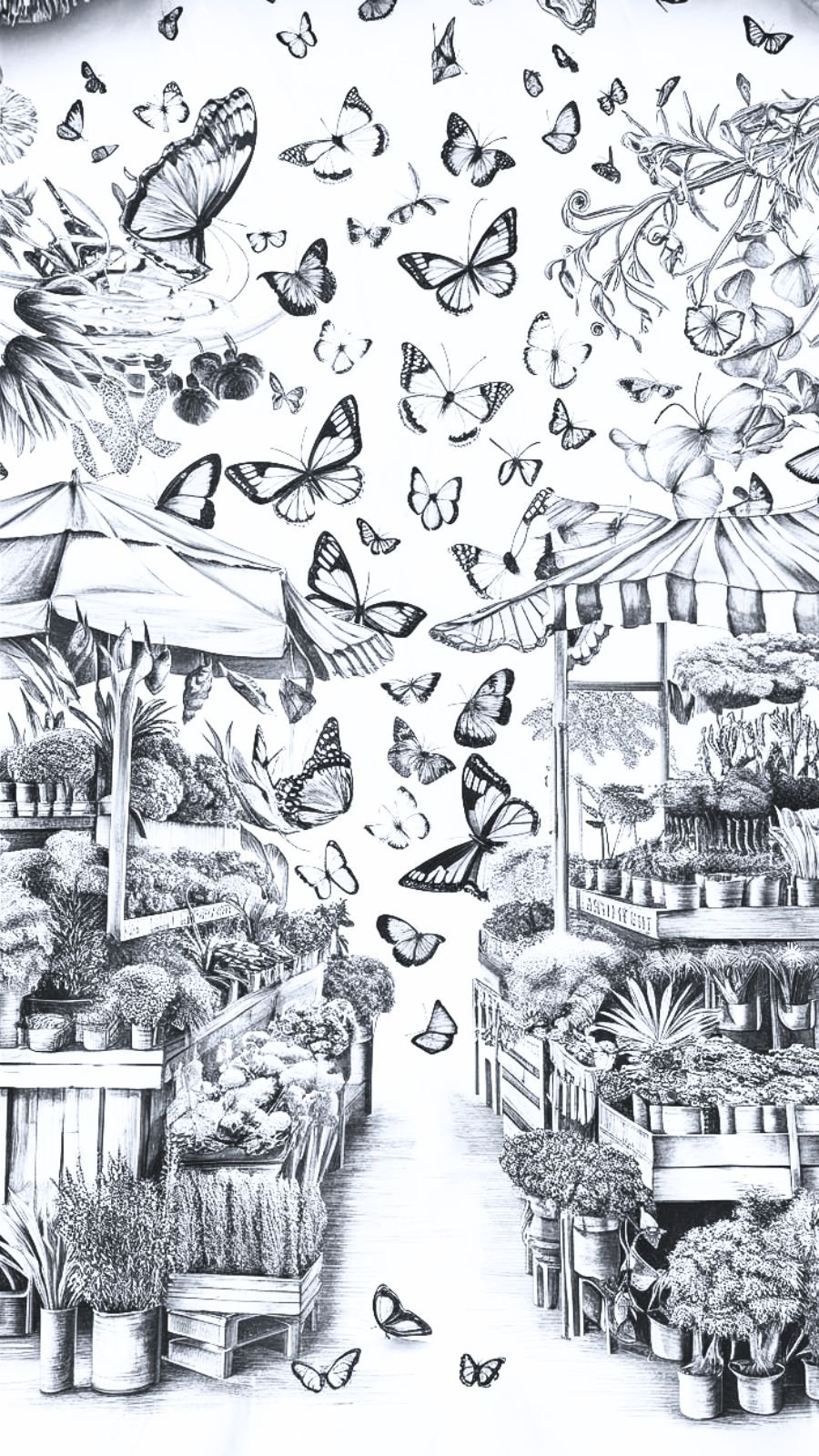 butterfly and market
