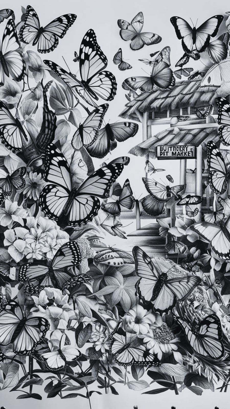 butterfly and market
