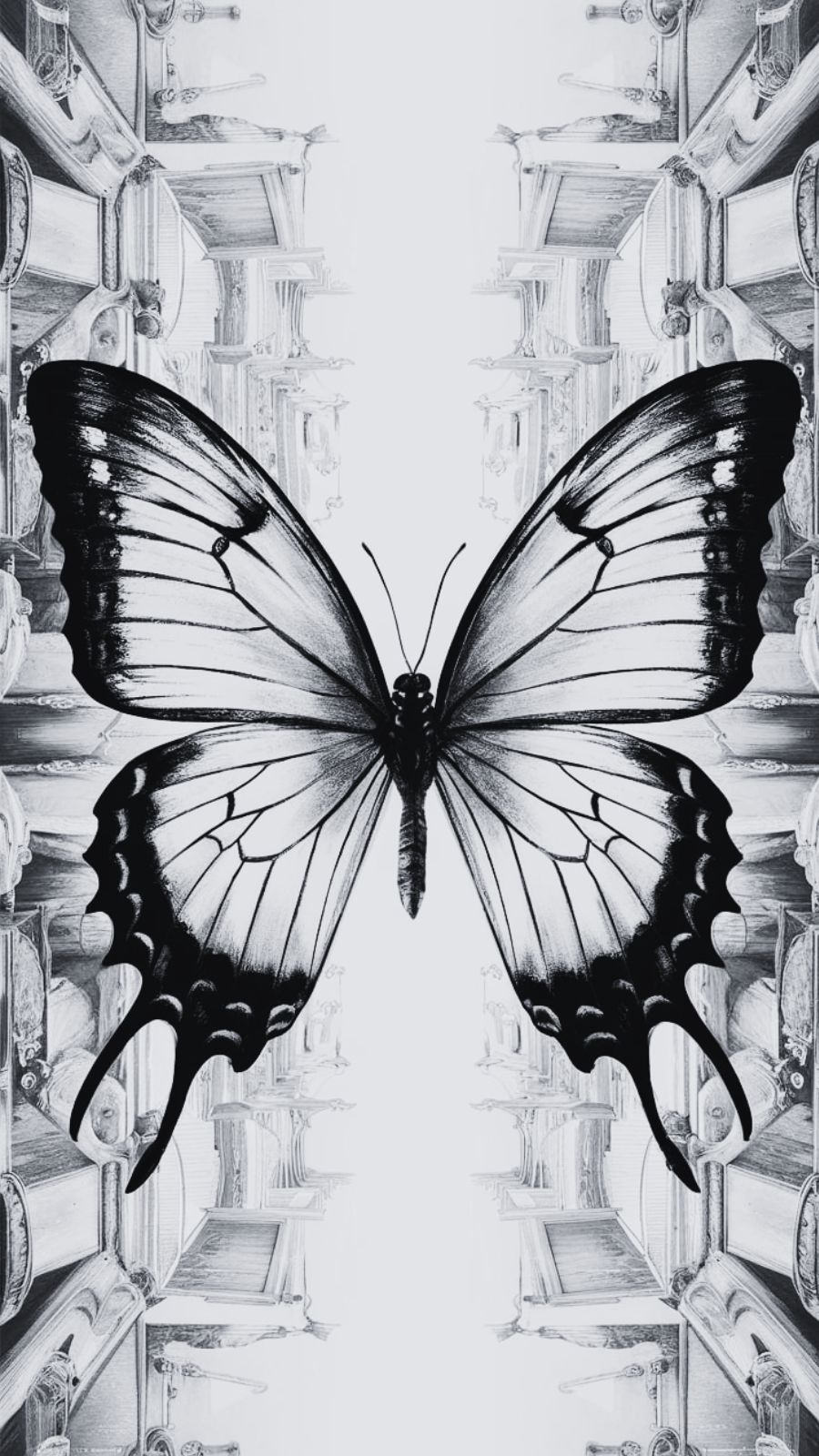butterfly and market
