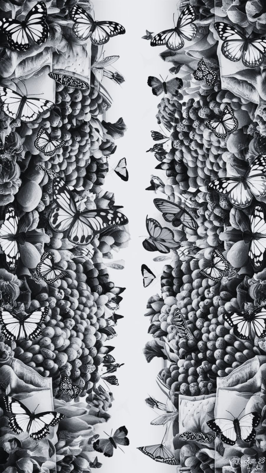butterfly and market
