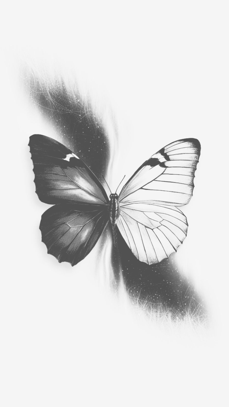 butterfly and northern lights