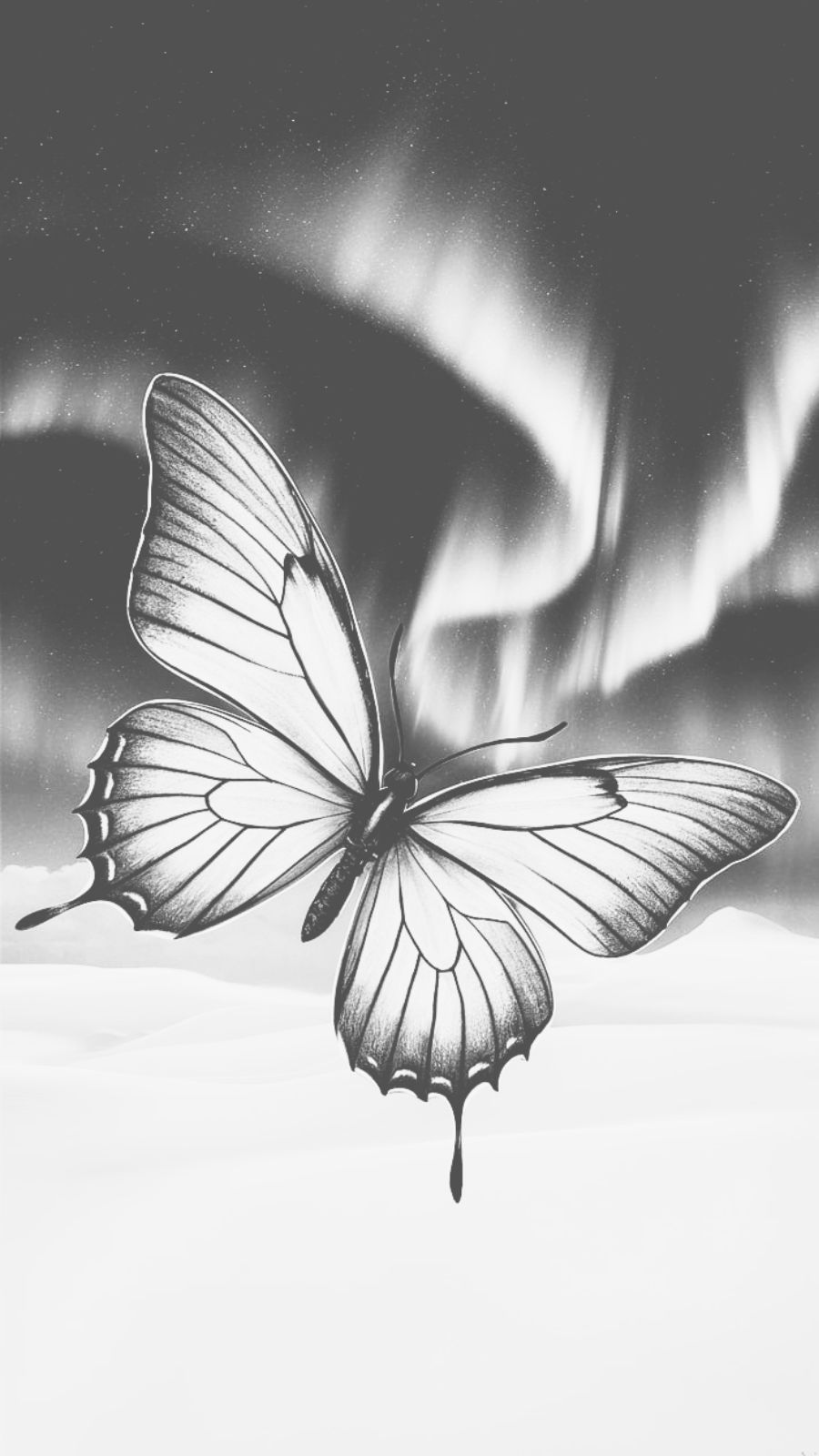 butterfly and northern lights
