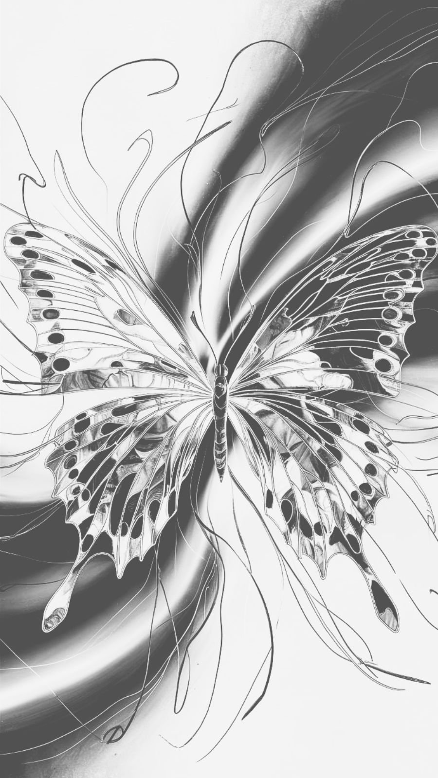 butterfly and northern lights