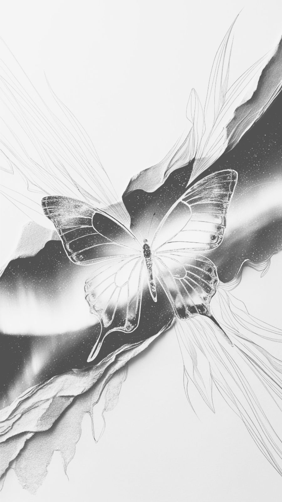 butterfly and northern lights