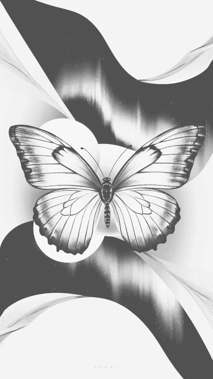 butterfly and northern lights