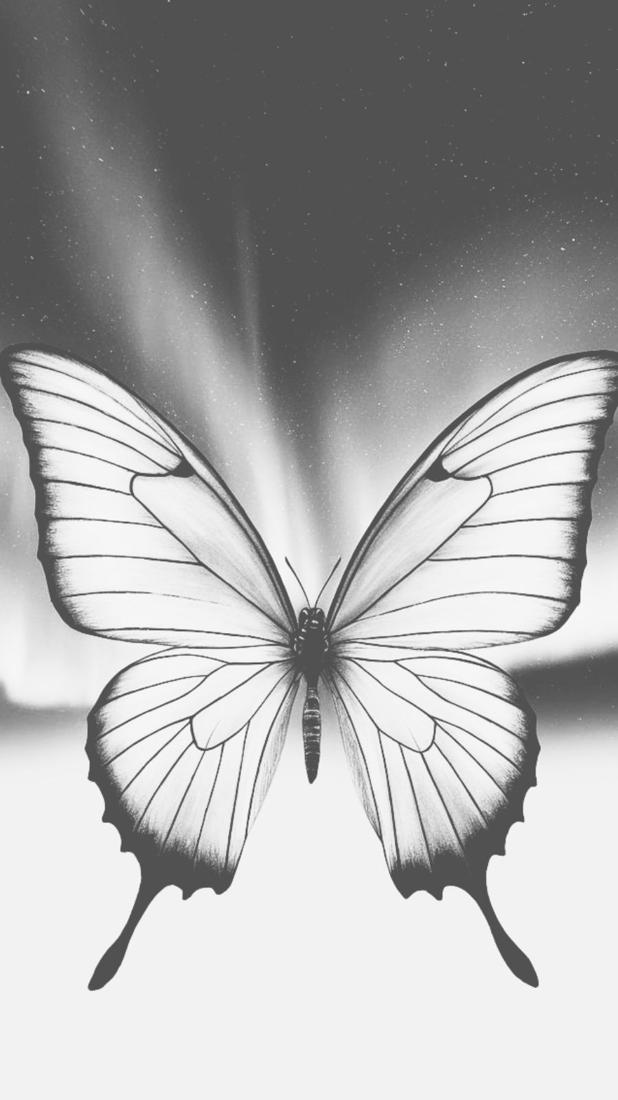 butterfly and northern lights