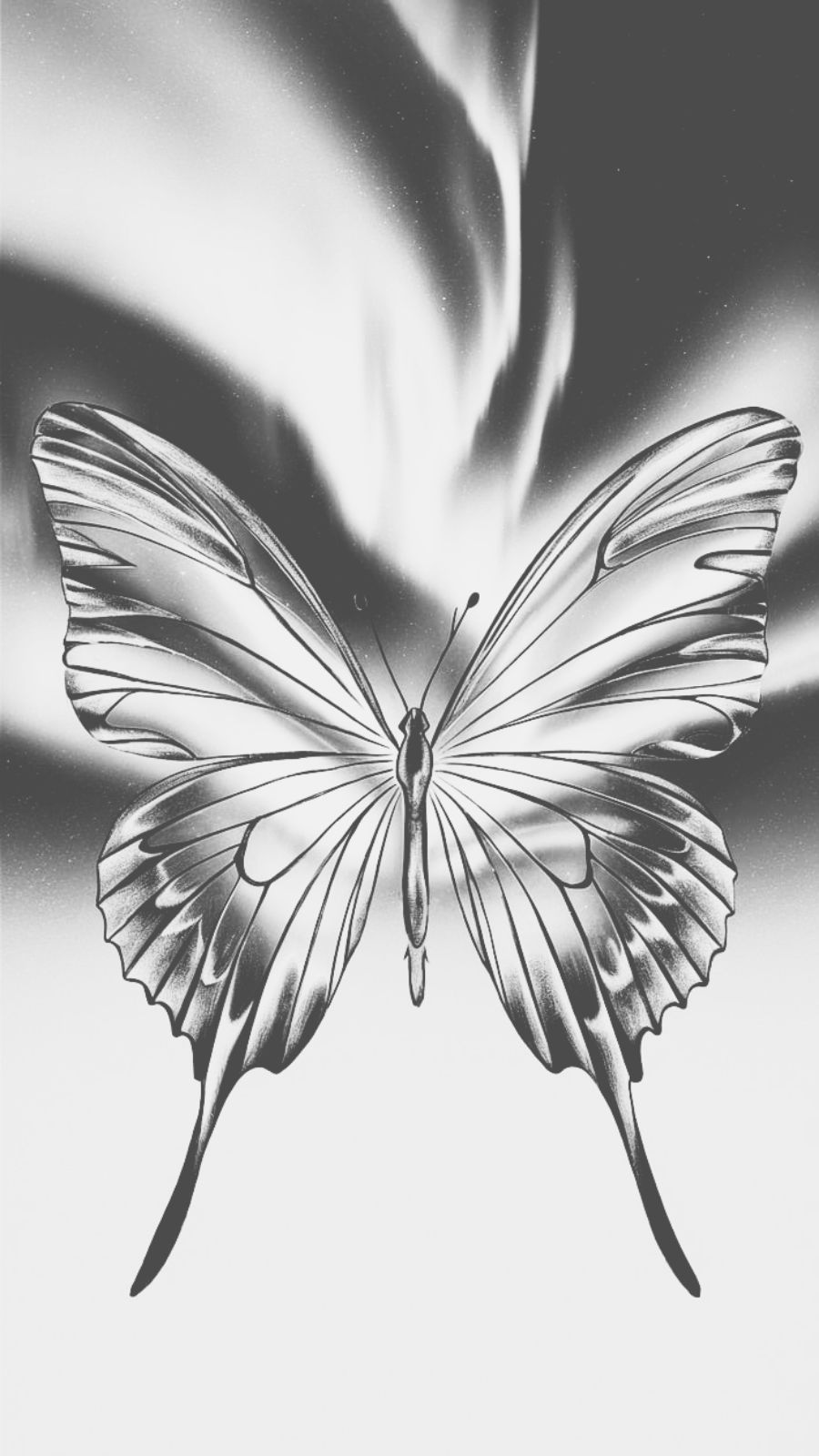 butterfly and northern lights