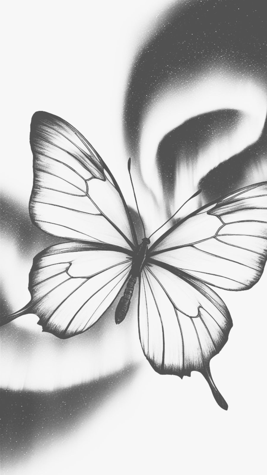 butterfly and northern lights