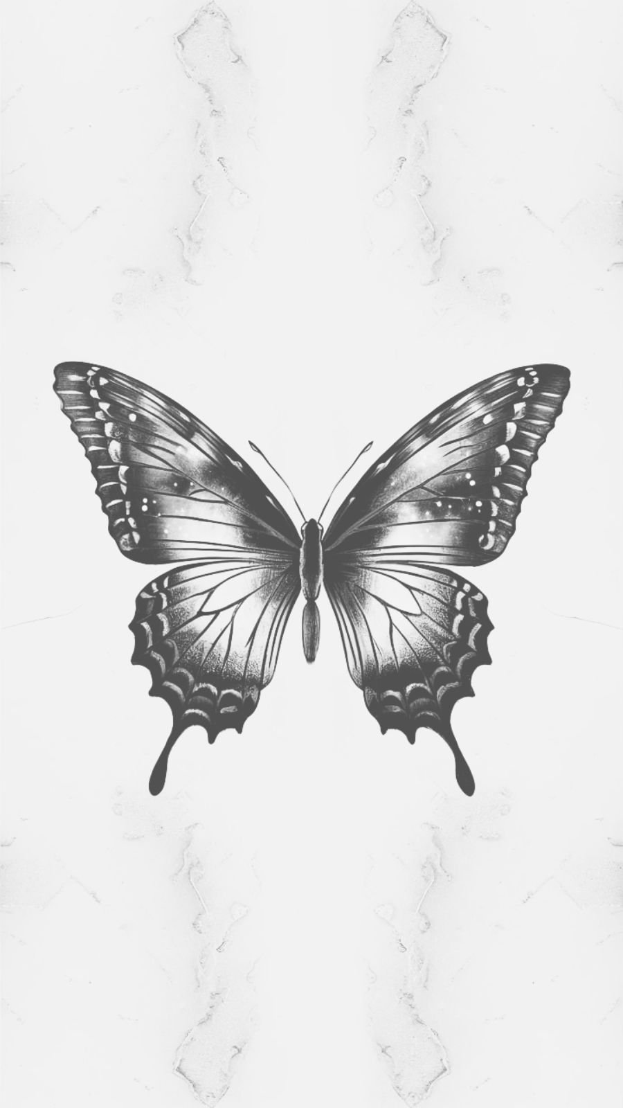 butterfly and northern lights
