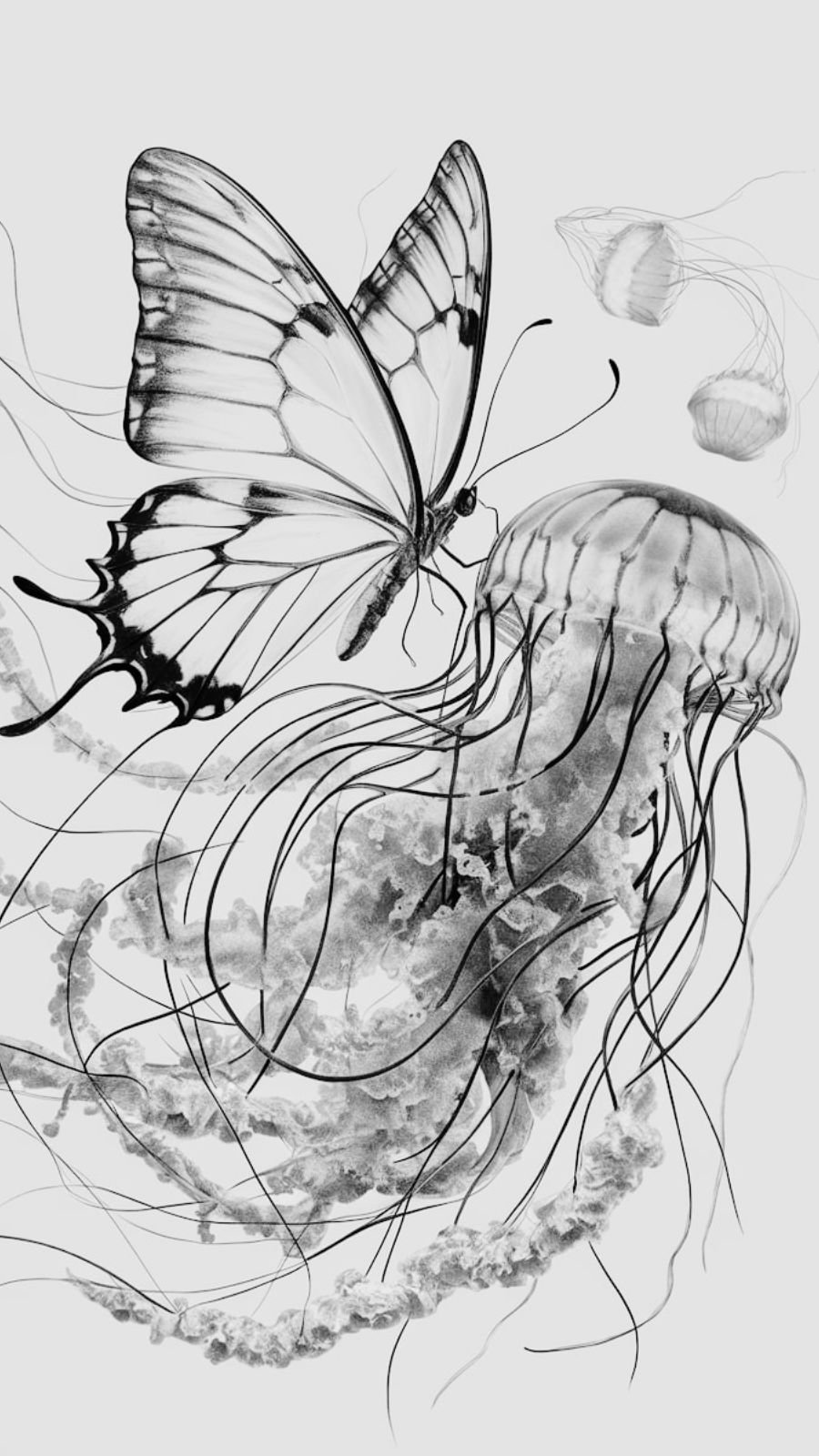 butterfly and reef