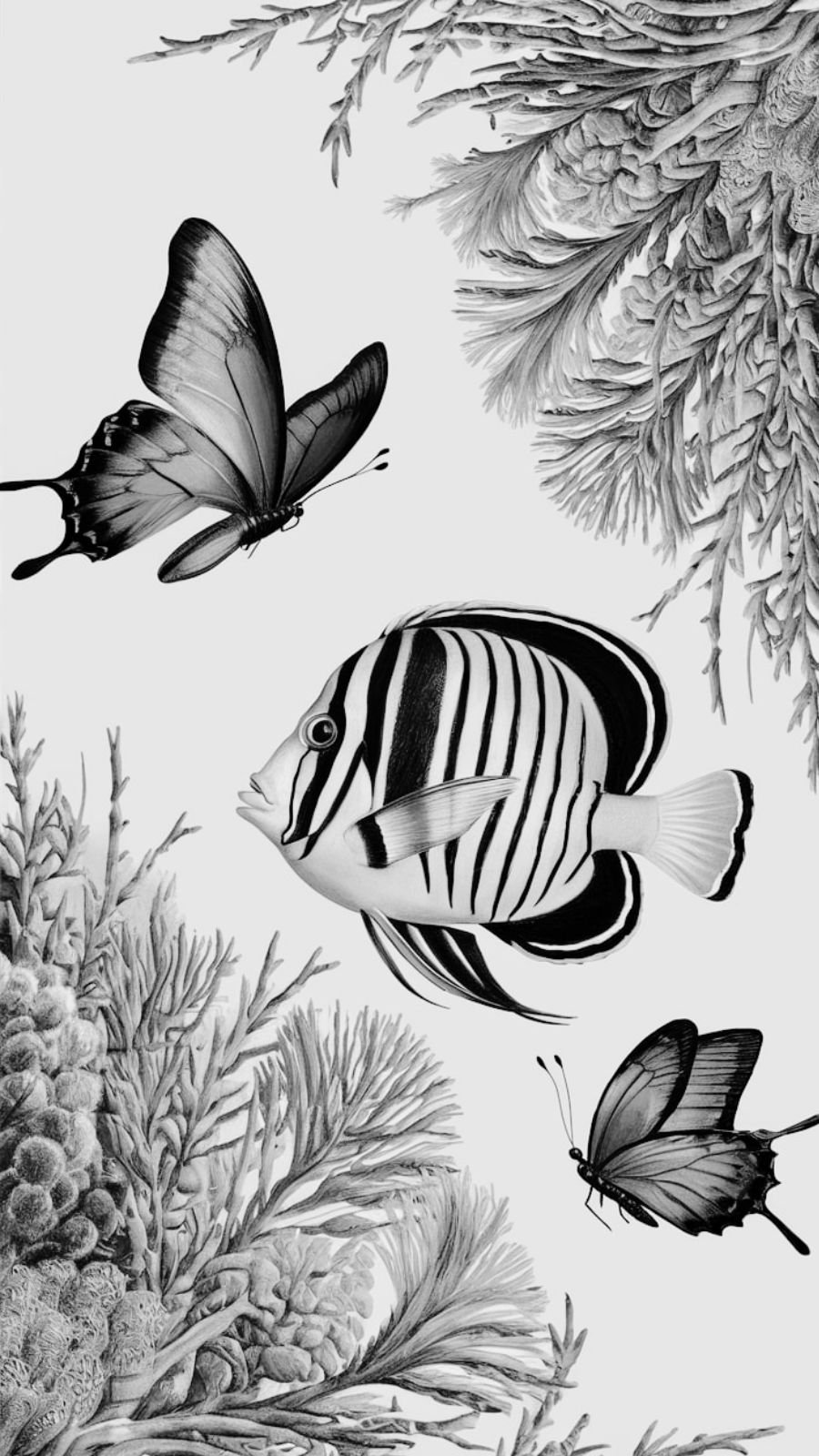 butterfly and reef
