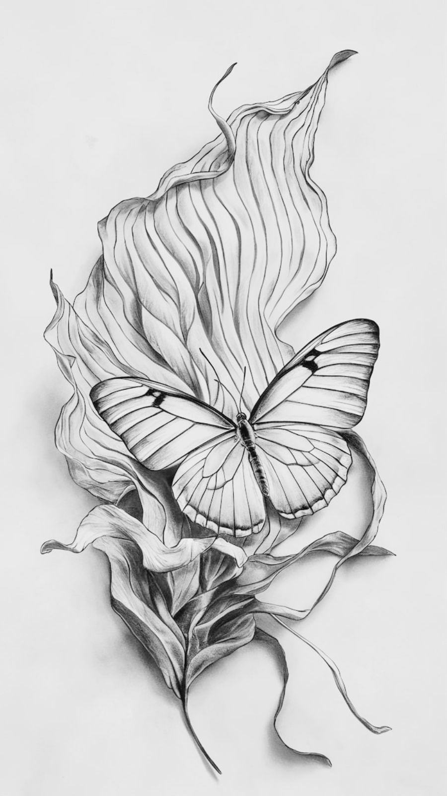 butterfly and seaweed