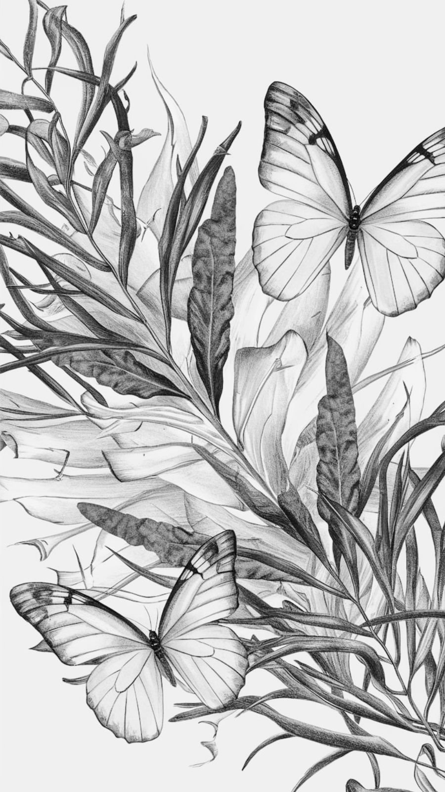 butterfly and seaweed