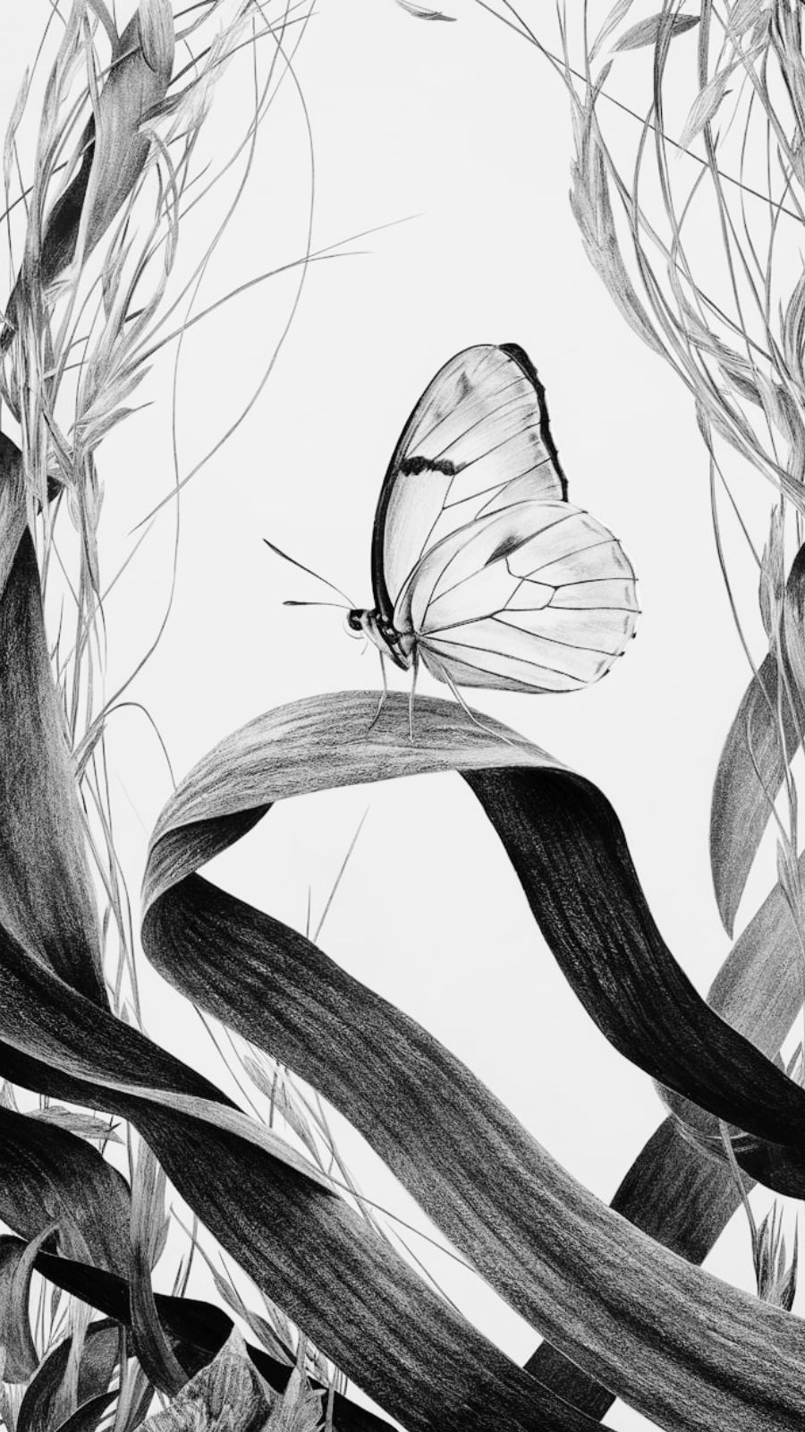butterfly and seaweed