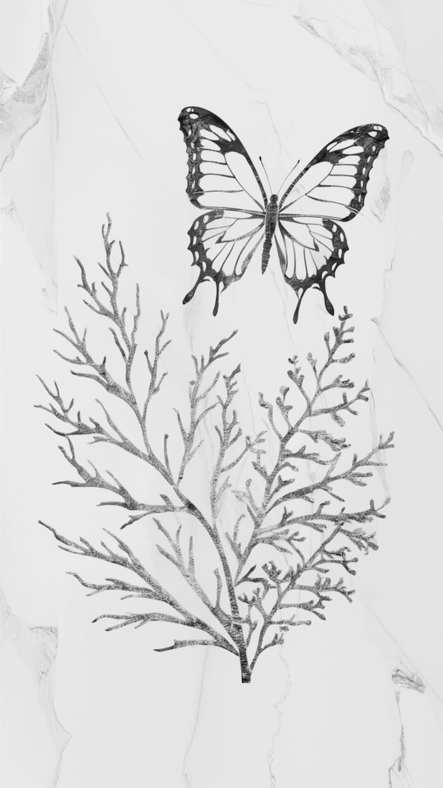  butterfly and seaweed